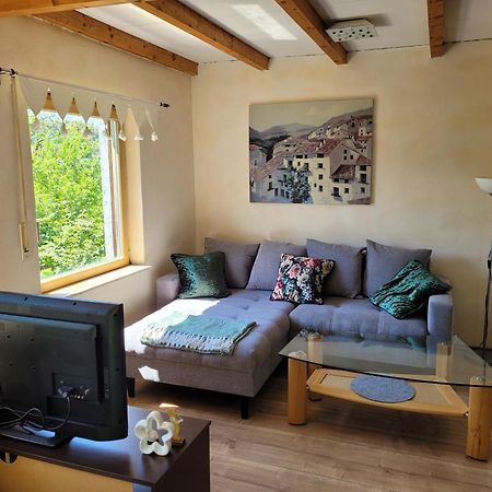 Ferienwohnung Im Haus Waldblick Nonnweiler Extérieur photo